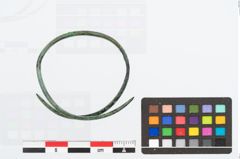Foto von Bronzearmreif (NHMW-PRAE-026423)